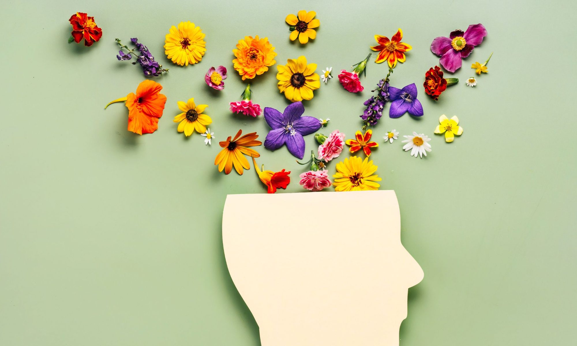 mental health concept. head cutout with flowers growing